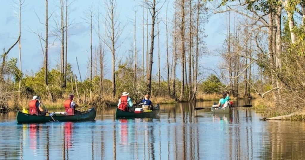 Tourists in canoes venture across the Okefenokee Swamp National Wildlife Refuge in Georgia