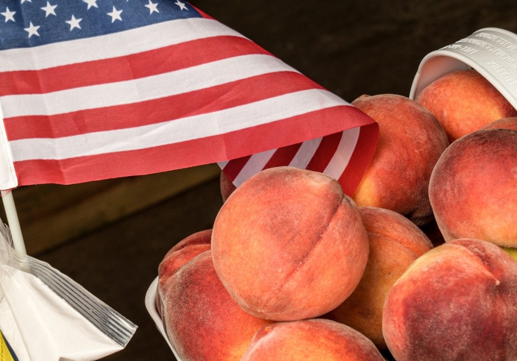 peach crops