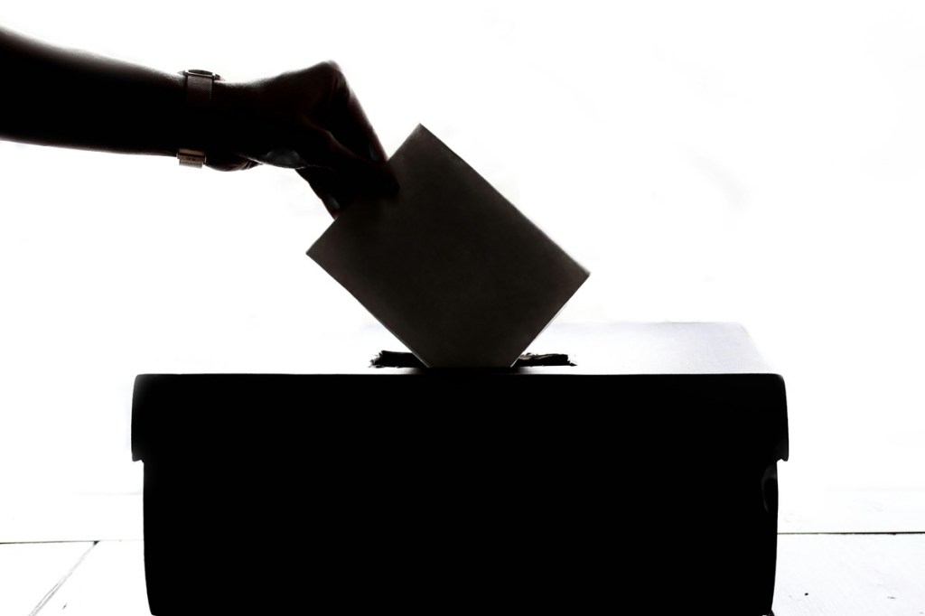 voting in Georgia
