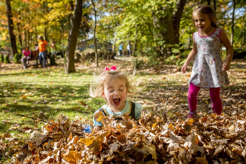 fall in Georgia