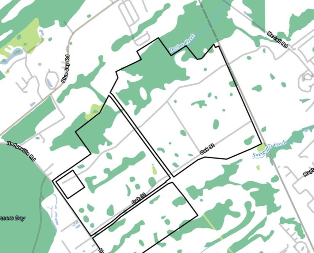 Effingham County data center maps